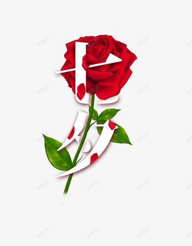 玫瑰花创意字体-图2