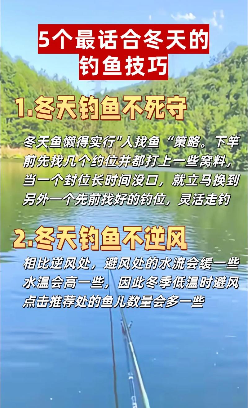 立冬时节钓鱼技巧,立冬时节钓鱼技巧和方法-图1 立冬时节钓鱼技巧,立冬时节钓鱼技巧和方法-图1