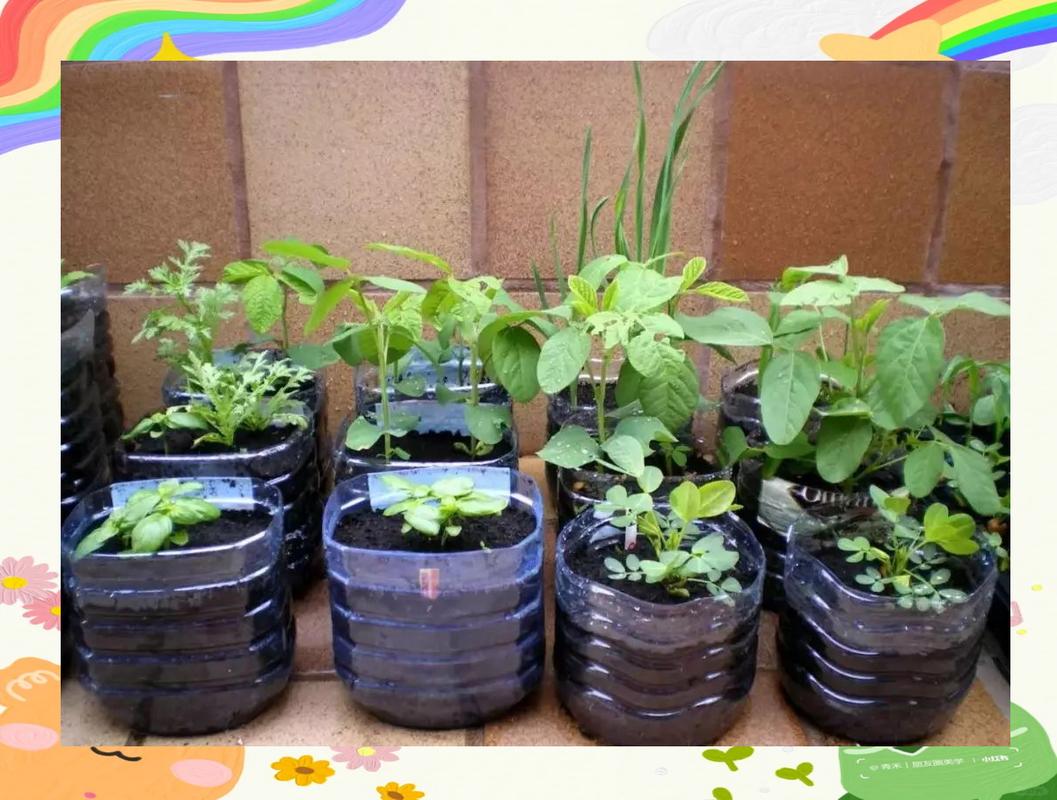 废旧油桶变废为宝？创意图片灵感何来？-图1