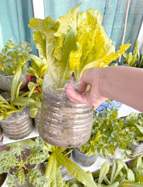 废旧油桶变废为宝？创意图片灵感何来？-图2