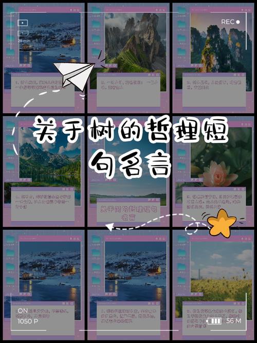 描写树的技巧，描写树的技巧的句子-图3