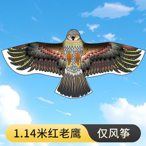 老鹰风筝技巧视频，新手如何快速学会？-图2