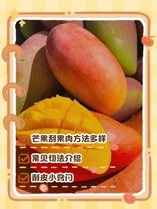 芒果怎么摘才安全又高效？-图1