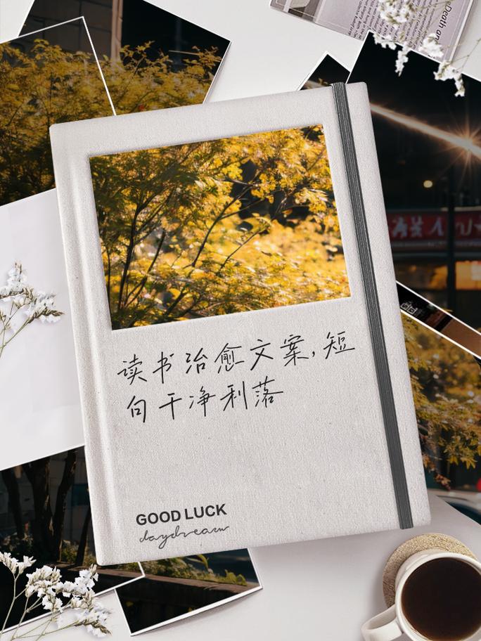 读书创意文案，读书创意文案短句-图3