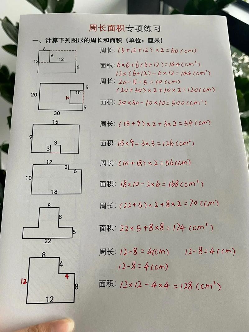 面积技巧题，面积的题怎么做-图3