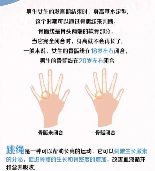 迎面跳绳接力怎么接才顺畅？-图2