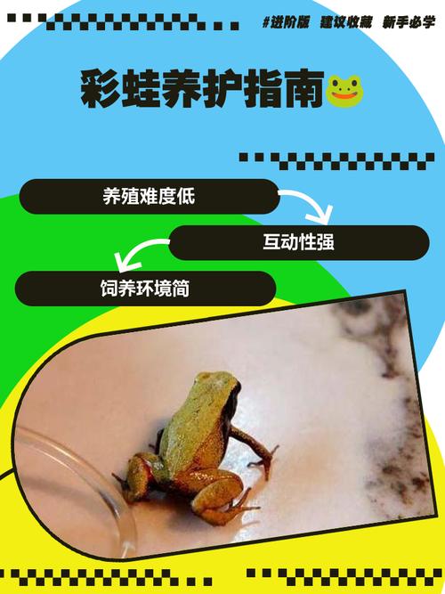 捕青蛙有哪些实用技巧？-图1