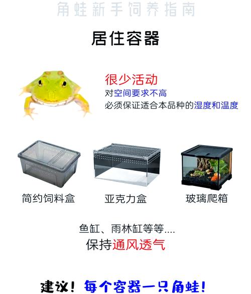 捕青蛙有哪些实用技巧？-图2