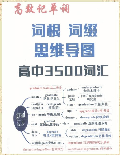 高中记单词技巧，高中记单词技巧与方法-图3