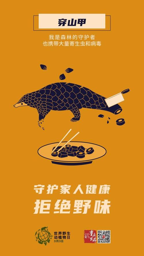 如何让拒绝野味创意深入人心？-图2