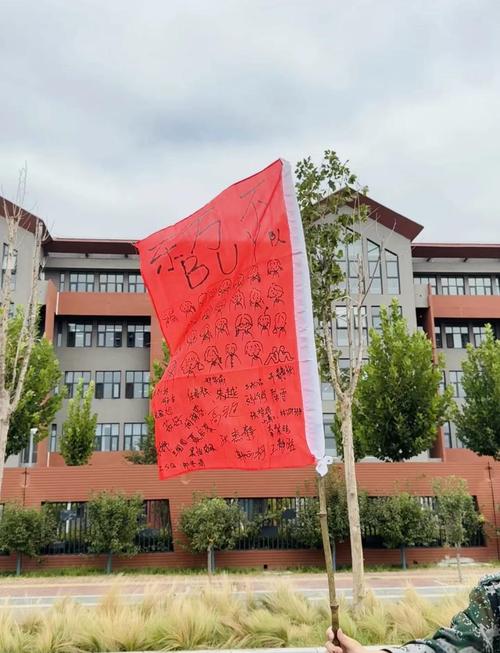 创意队旗图片-图3