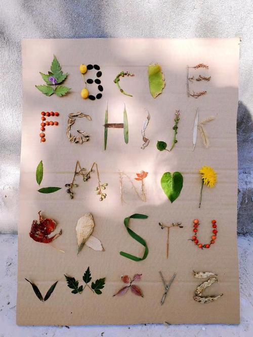 树叶字母创意-图1