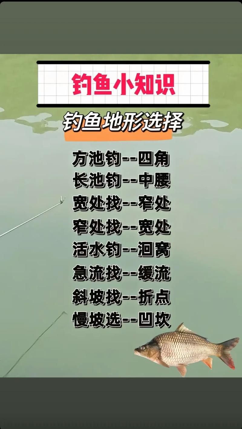 云南抖钓技巧-图1