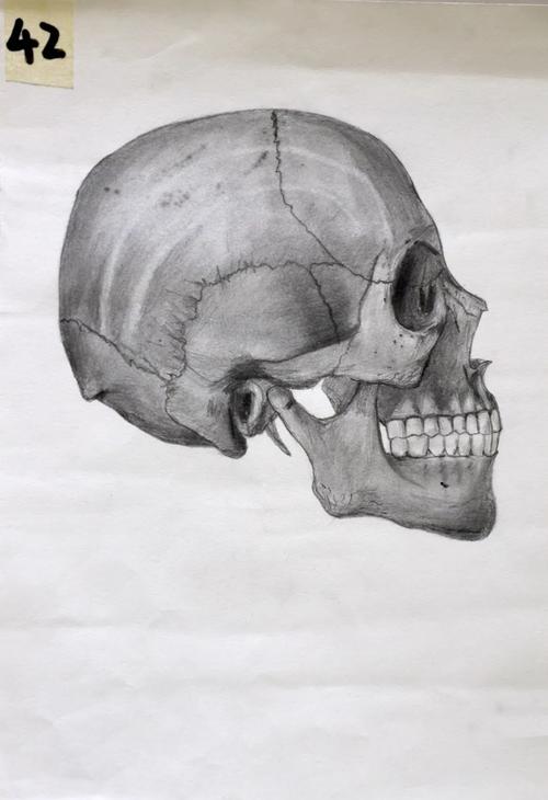 创意解剖素描-图2 创意解剖素描-图2