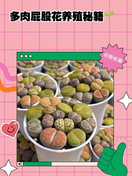 屁股的养殖技巧-图1