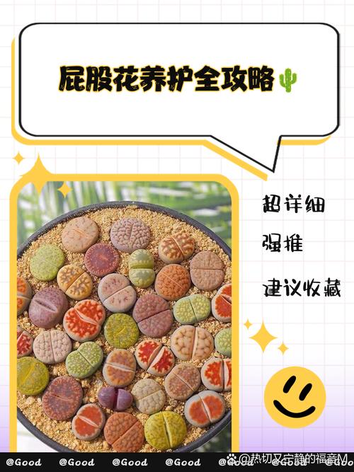 屁股的养殖技巧-图2