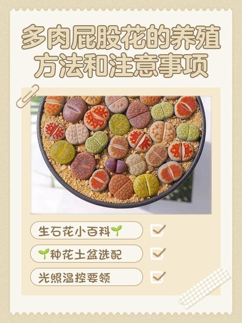 屁股的养殖技巧-图3