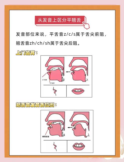 普通话平翘舌发音技巧-图1 普通话平翘舌发音技巧-图1