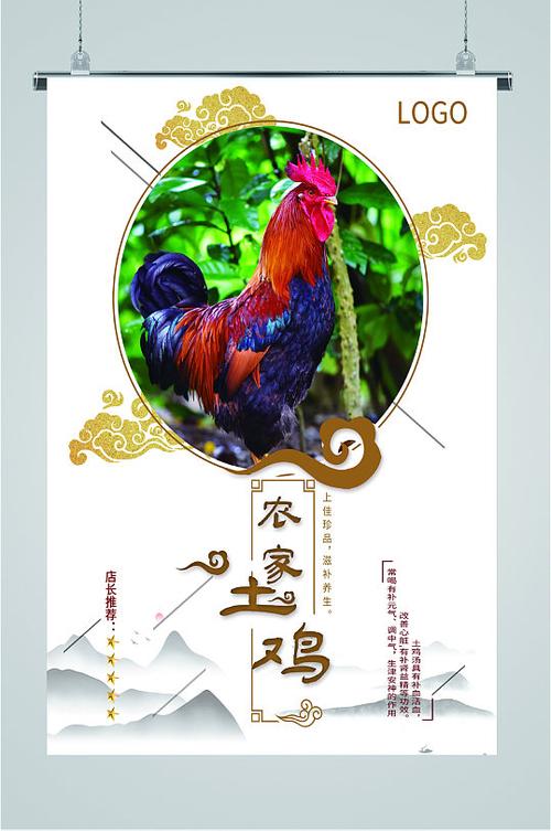 创意鸡广告-图2