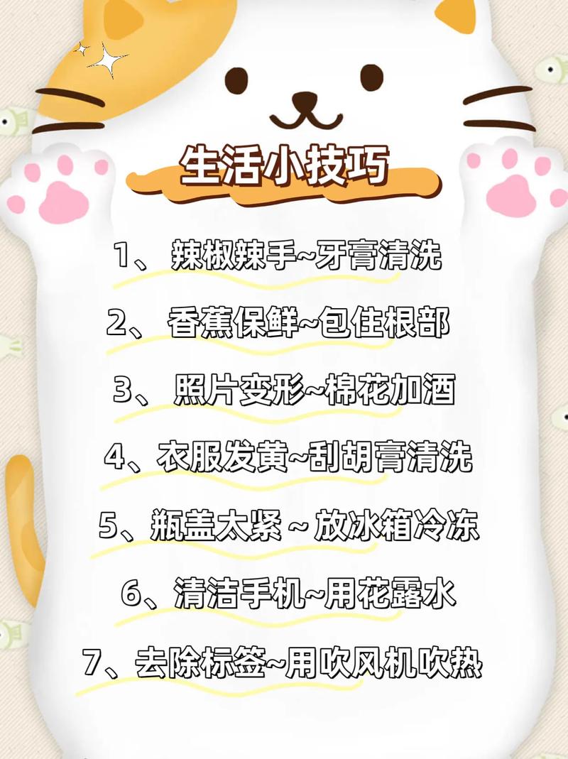 生活部有哪些实用生活技巧？-图3