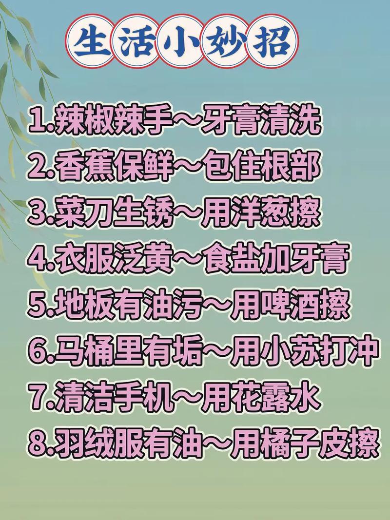 生活部有哪些实用生活技巧？-图2