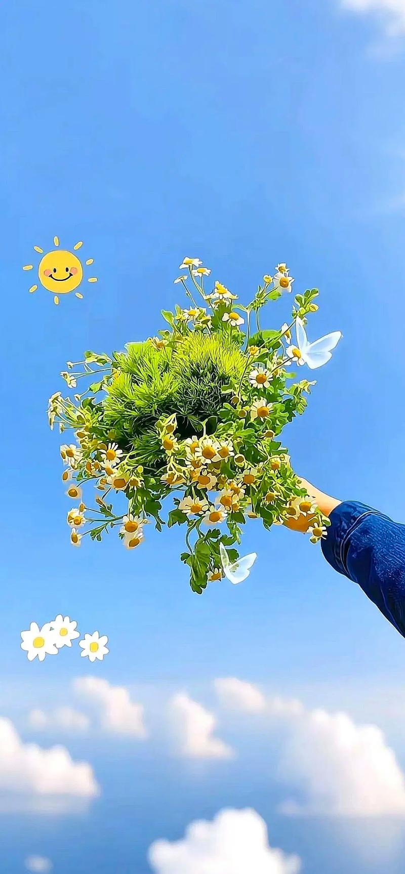 手机创意背景图-图1