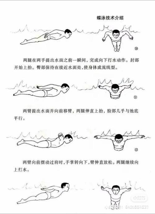 花样游泳技巧-图3 花样游泳技巧-图3