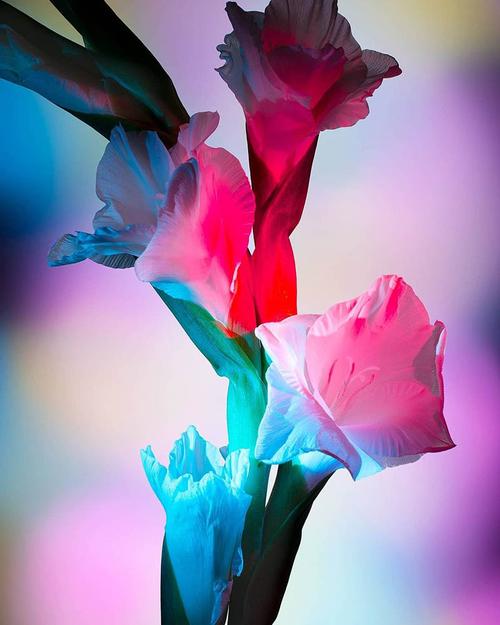 创意摄影如何捕捉灵魂瞬间？-图3