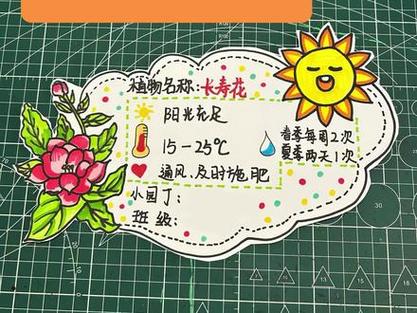 鲜花养护卡技巧有哪些？-图1