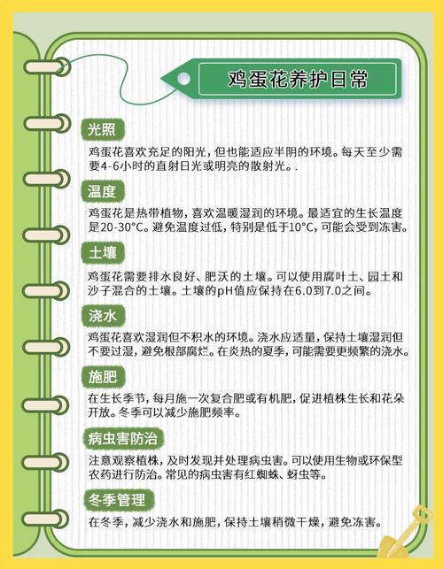 鲜花养护卡技巧有哪些？-图2
