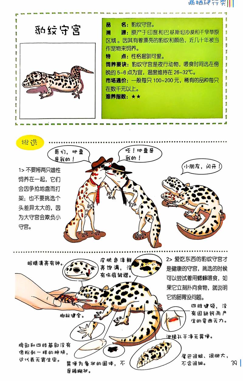 壁虎如何靠断尾逃生?-图1 壁虎如何靠断尾逃生?-图1