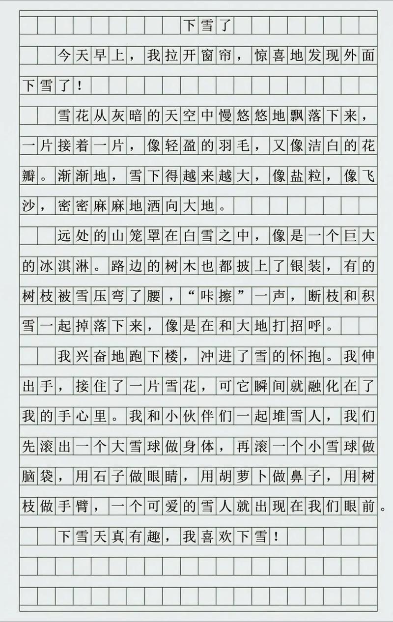 下雪天如何防滑?实用技巧有哪些?-图1 下雪天如何防滑?实用技巧有哪些?-图1