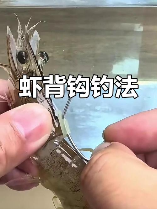 钓虾写作技巧-图3