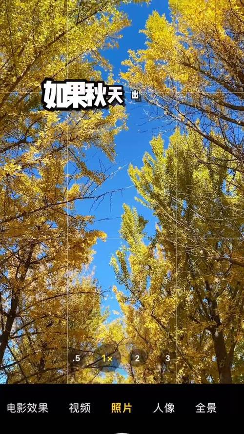 创意拍照技巧有哪些实用妙招？-图3