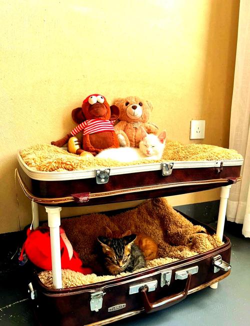 创意新生活-图1