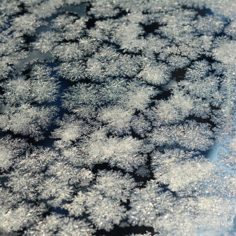 冰花创意如何让冬日绽放独特美感？-图2