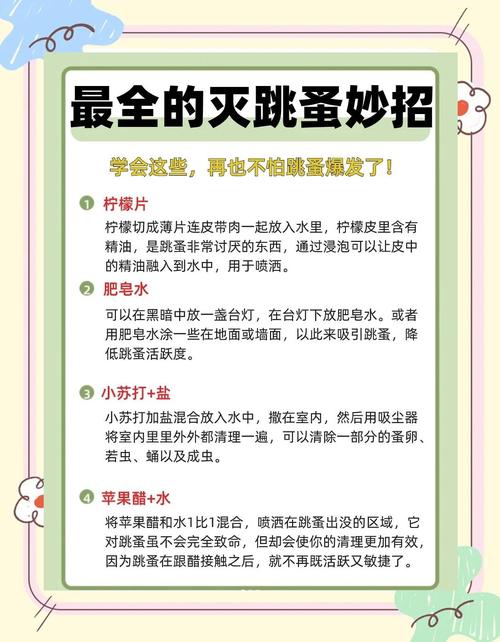 跳蚤市场如何提升摊位人气与成交？-图2