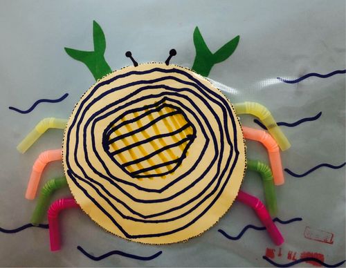 五班创意有何独特之处？-图3