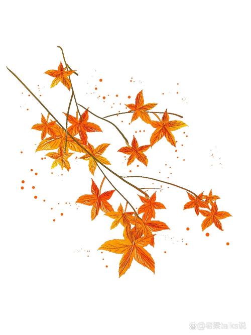 枫叶创意设计图,灵感从何而来?-图2 枫叶创意设计图,灵感从何而来?-图2