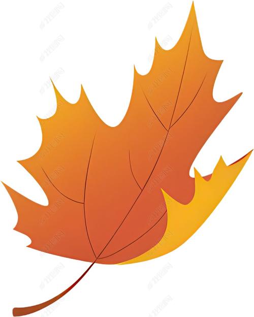 枫叶创意设计图,灵感从何而来?-图3 枫叶创意设计图,灵感从何而来?-图3