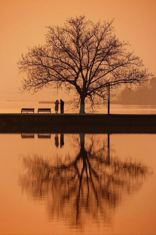 水面倒影如何玩出创意新花样？-图1