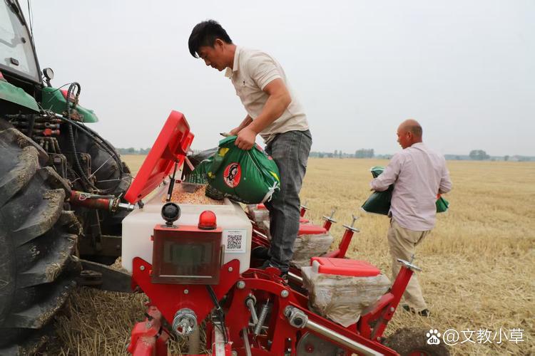 抢种抢收有哪些高效技巧?-图1 抢种抢收有哪些高效技巧?-图1
