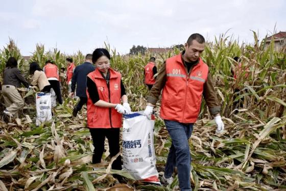 抢种抢收有哪些高效技巧?-图2 抢种抢收有哪些高效技巧?-图2