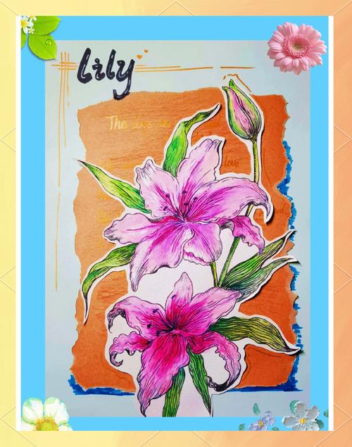 百合创意设计-图2