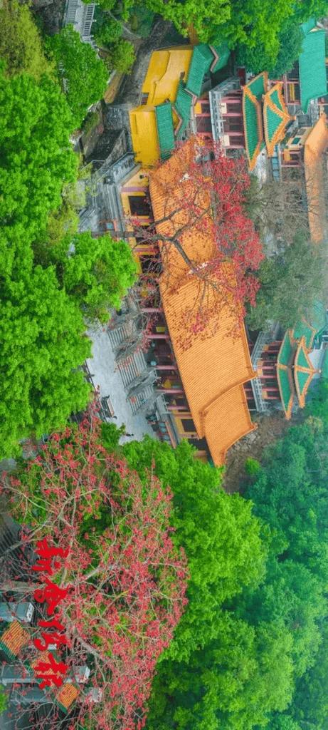 手机长卷摄影如何拍出大片感?-图3 手机长卷摄影如何拍出大片感?-图3