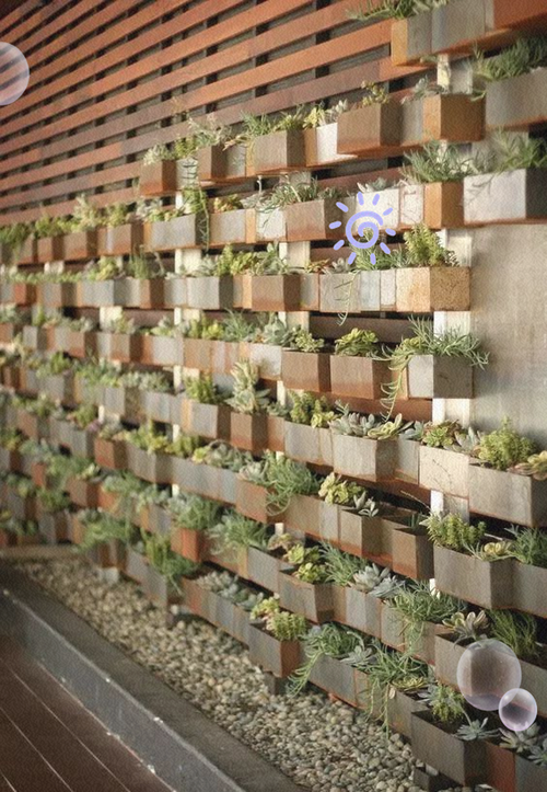 创意园艺墙，如何打造立体绿意空间？-图3