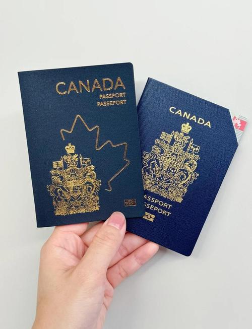 创意美术护照-图1