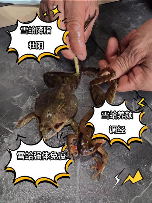 冬天挖蛤蜊技巧-图3