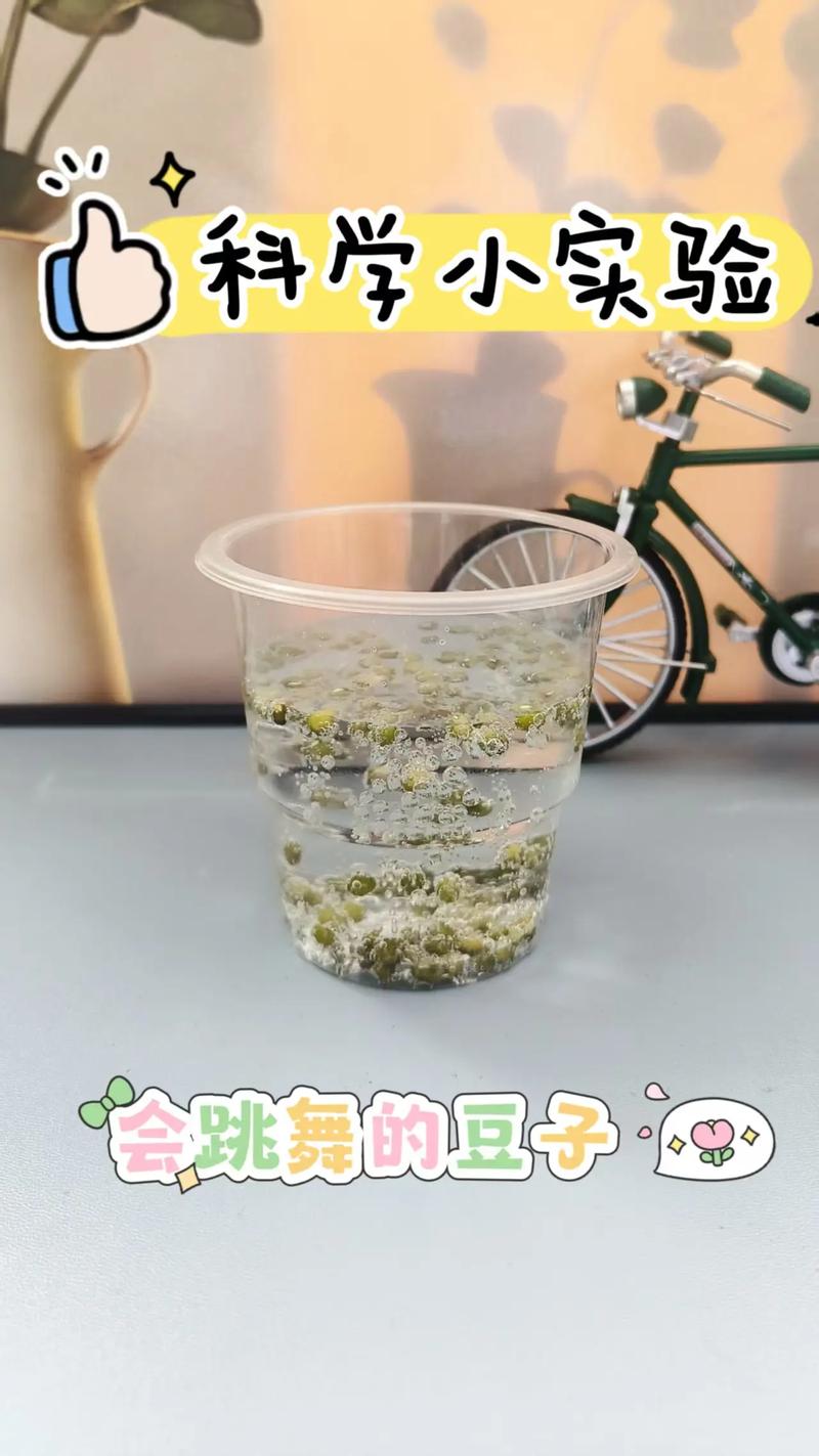 有创意的科学小实验-图1 有创意的科学小实验-图1