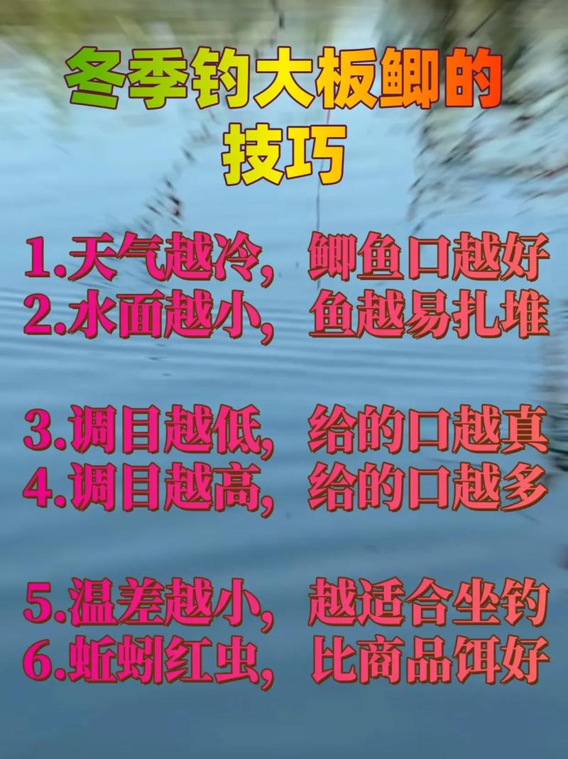 立冬水库钓鱼，这些技巧能让你爆护吗？-图1